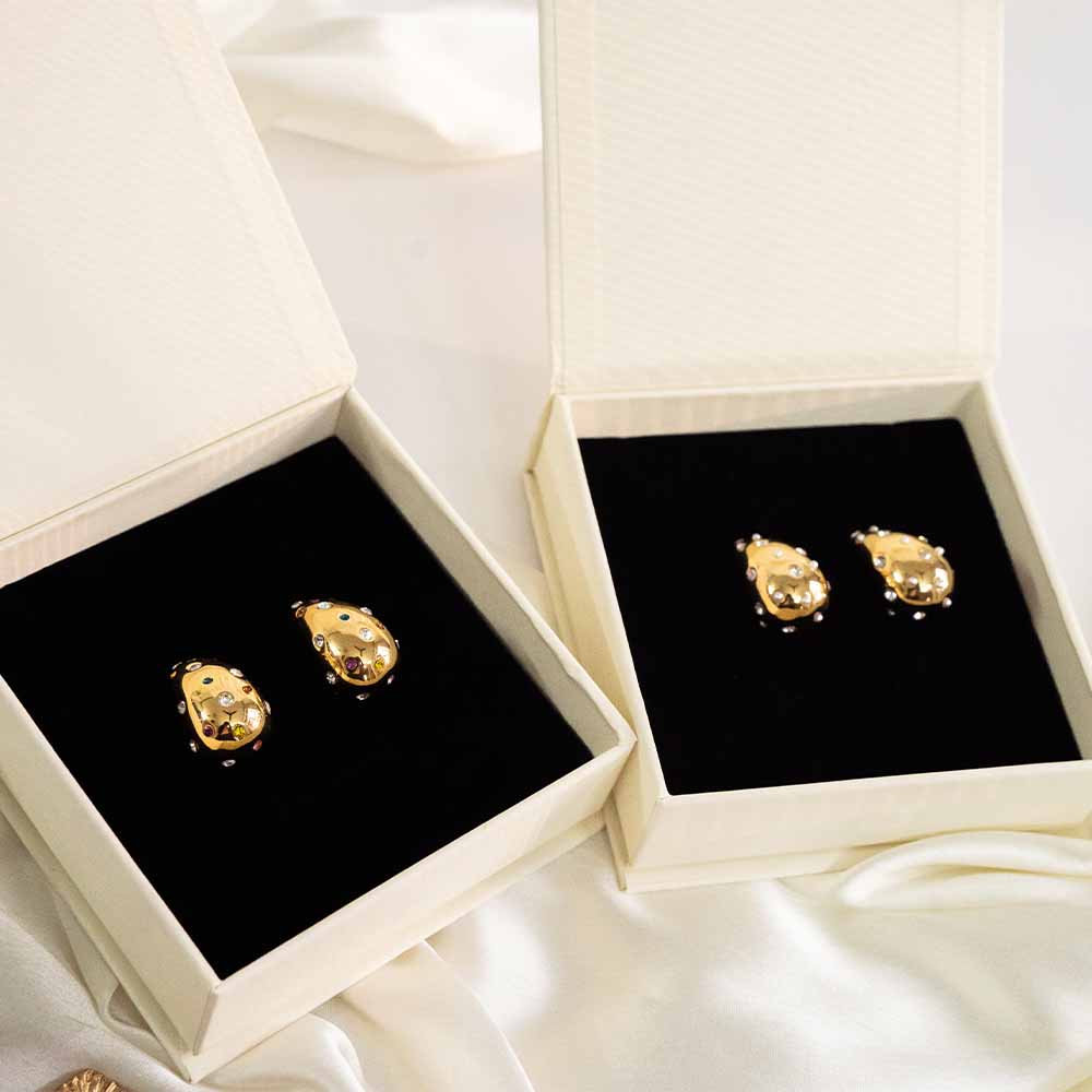 Tear Drop Stainless Steel Earring