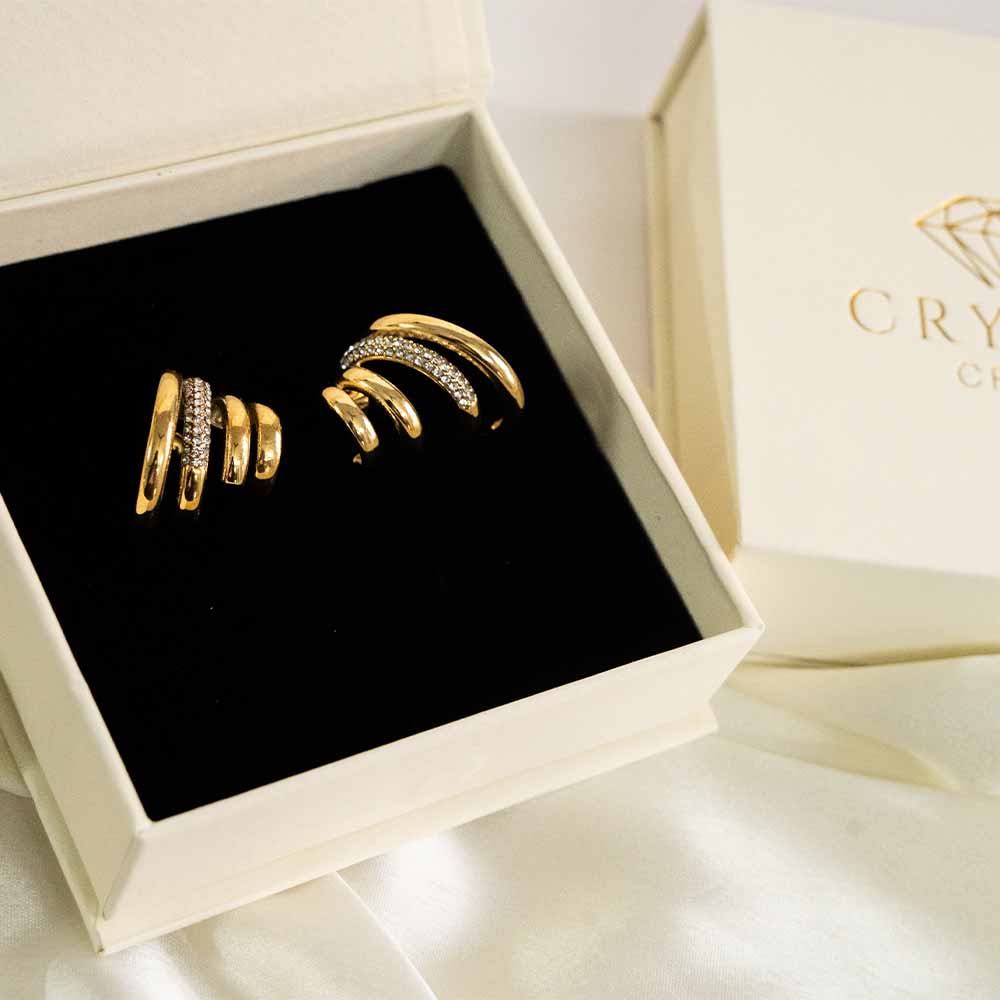 Lustre Loop Stainless Steel Earring