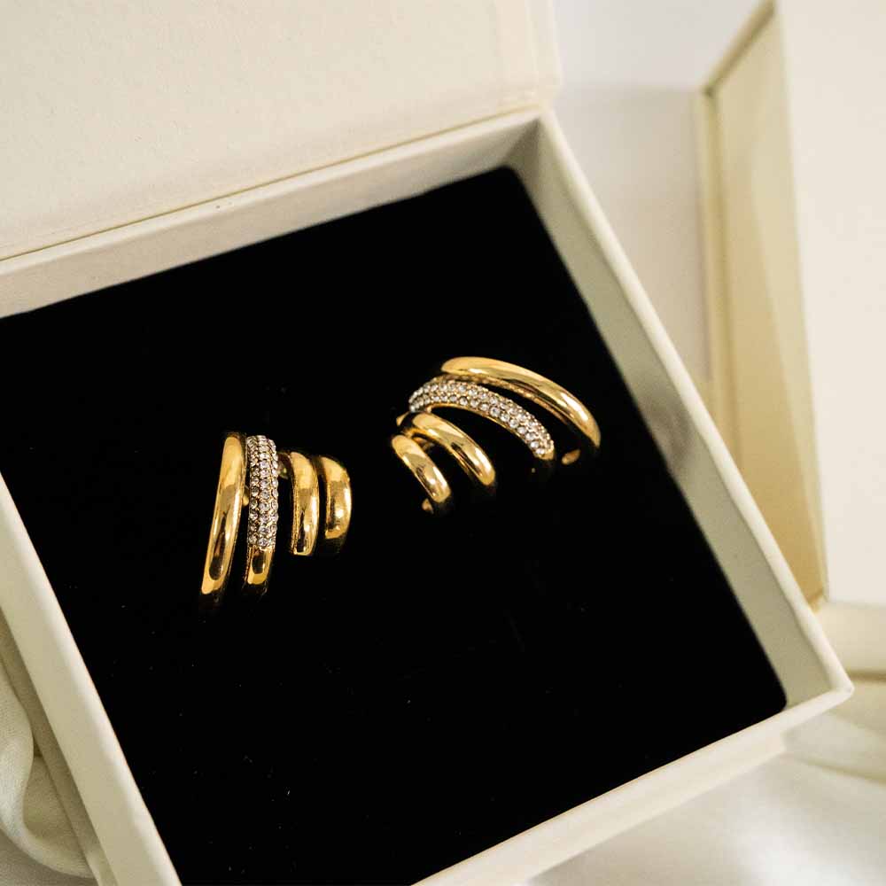Lustre Loop Stainless Steel Earring