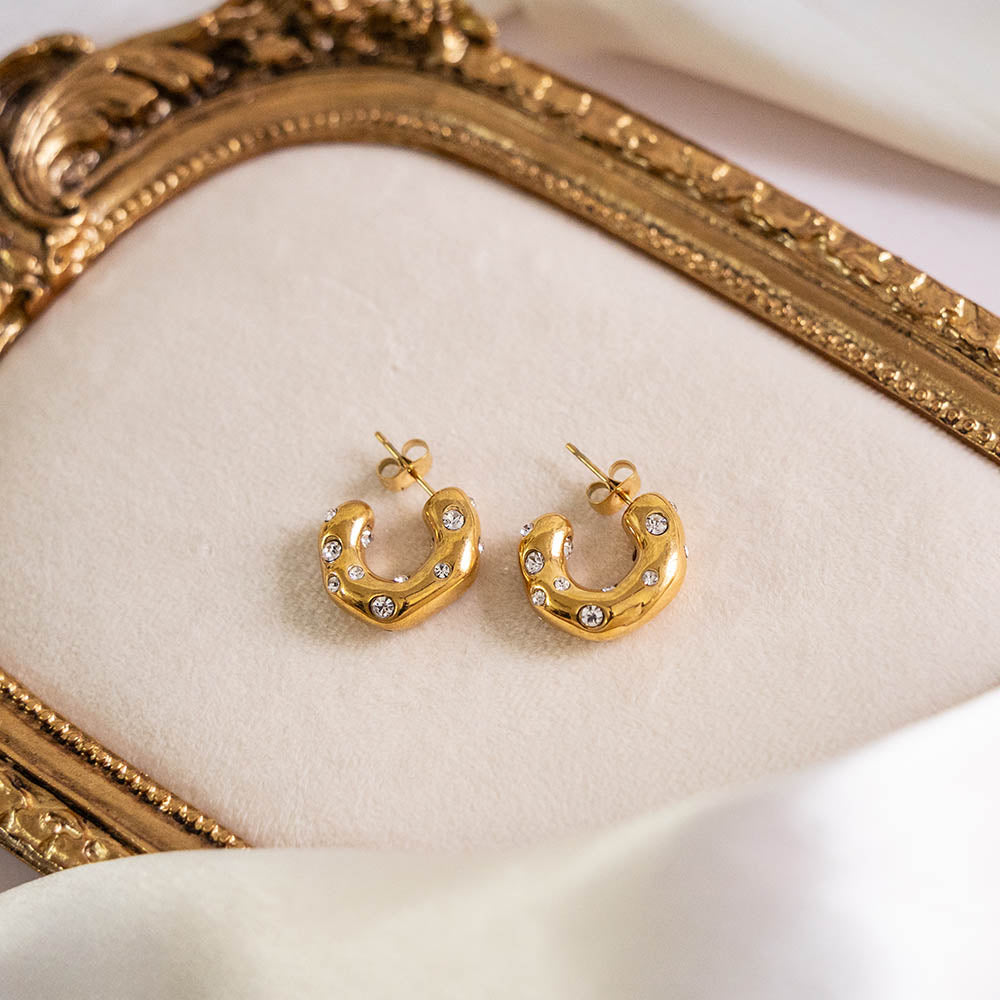 Zircon Hoops Stainless Steel Earring