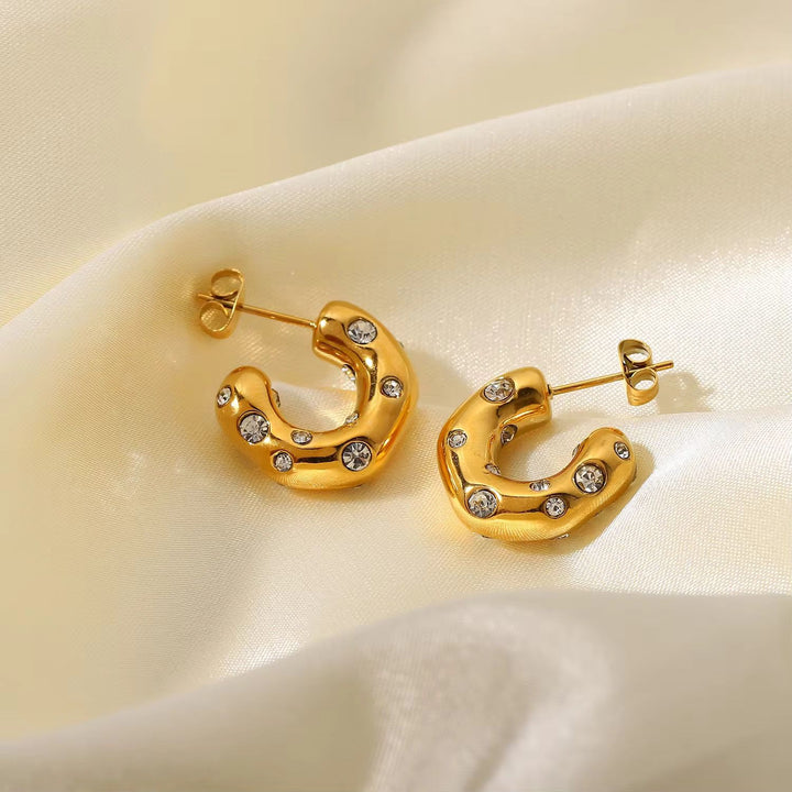 Zircon Hoops Stainless Steel Earring