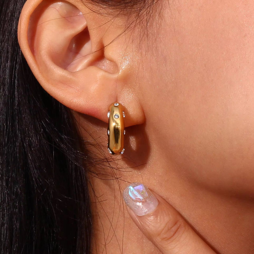 Zircon Hoops Stainless Steel Earring